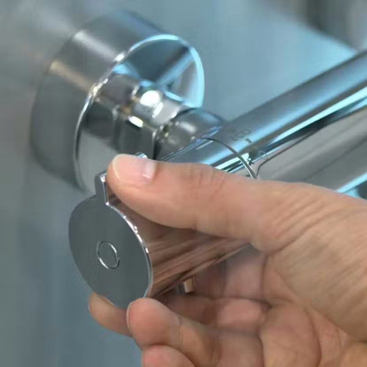 Ecostat 1001 Exposed Shower Thermostat